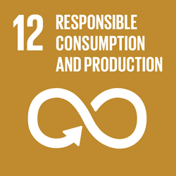 SDG 12: Konsumsi dan Produksi yang Bertanggung Jawab