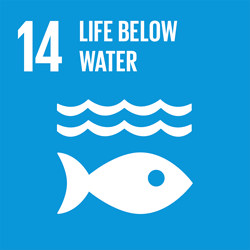 SDG 14: Ekosistem Lautan