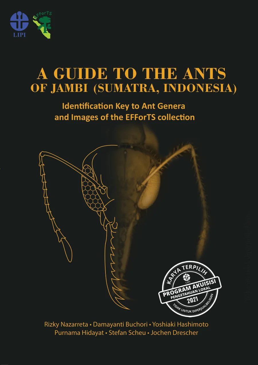 Sampul A Guide to the Ants of Jambi (Sumatra, Indonesia): Identification Key to Ant Genera and Images of the EFForTS collection