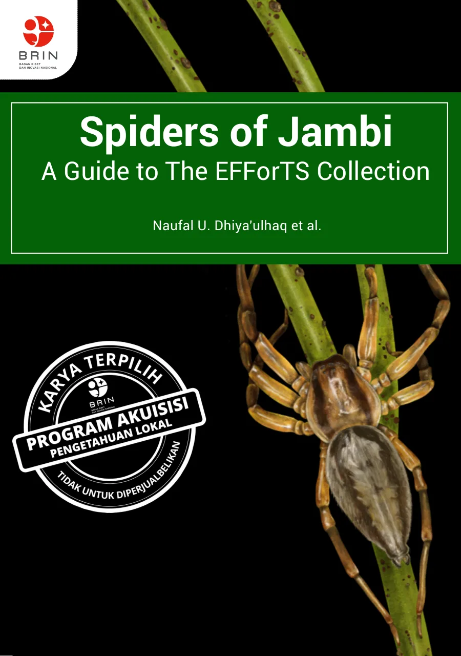 Sampul Spiders of Jambi: A guide to the EFForTS collection