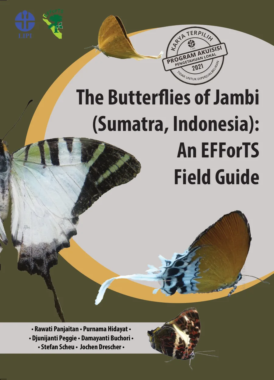 Sampul The Butterflies of Jambi (Sumatra, Indonesia): An EFForTS Field Guide